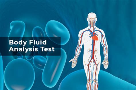 body fluid lab analyzer price|Streamlined Body Fluid Analysis .